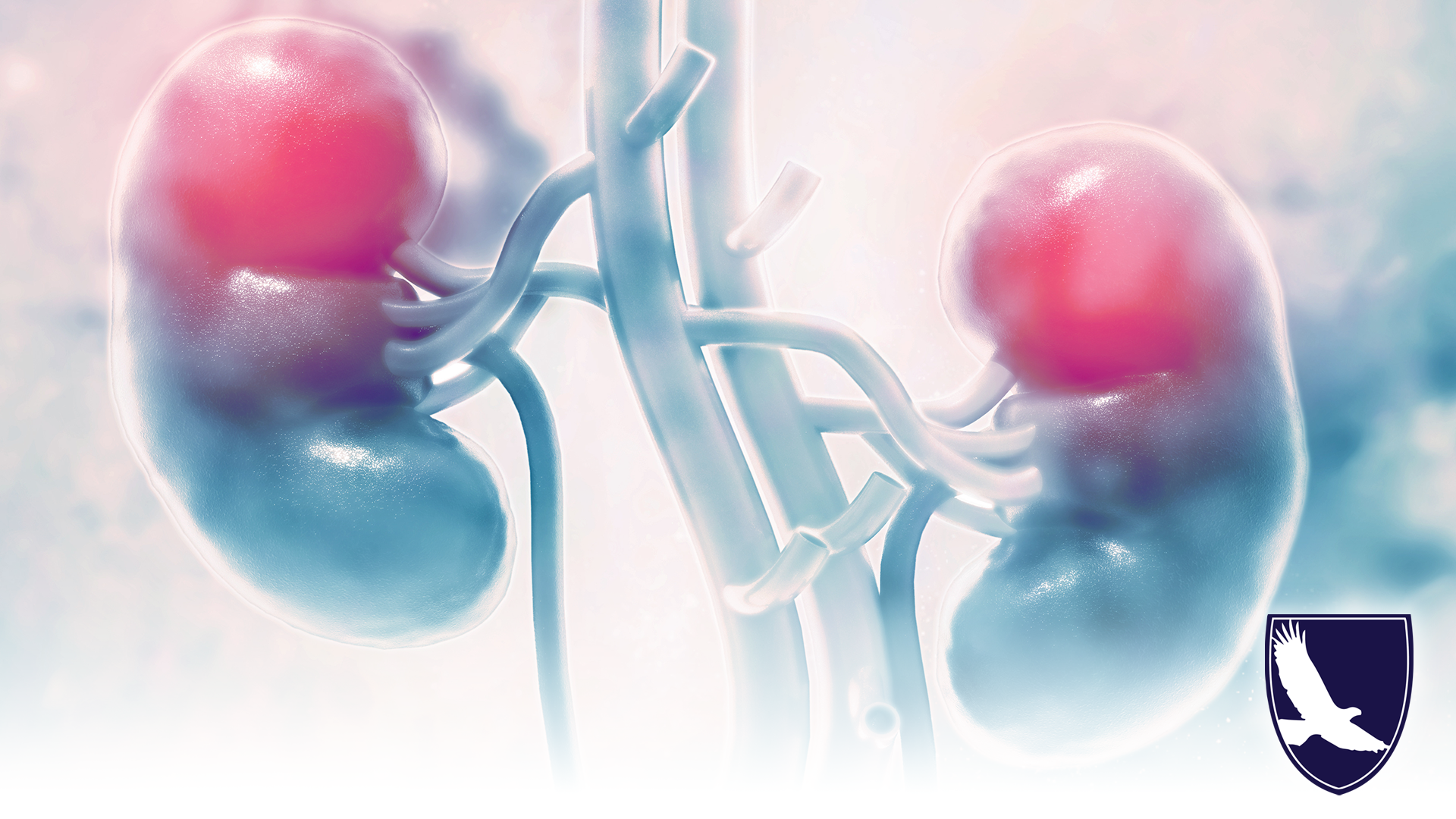 CAN I GET SSDI OR SSI FOR KIDNEY OR RENAL FAILURE